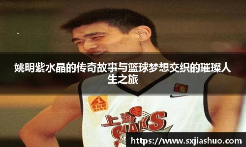 姚明紫水晶的传奇故事与篮球梦想交织的璀璨人生之旅