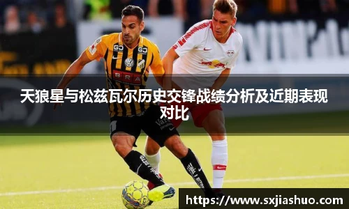 天狼星与松兹瓦尔历史交锋战绩分析及近期表现对比